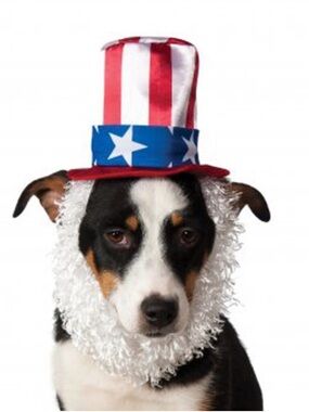 Rubie's Patriotic Uncle Sam Dog Hat I in Red White and Blue